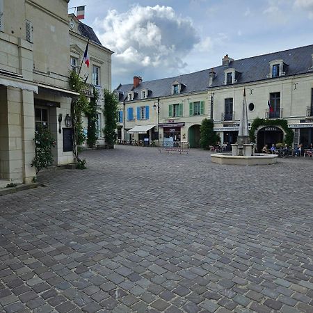Gite Le Montinho Fontevraud L'Abbaye Buitenkant foto