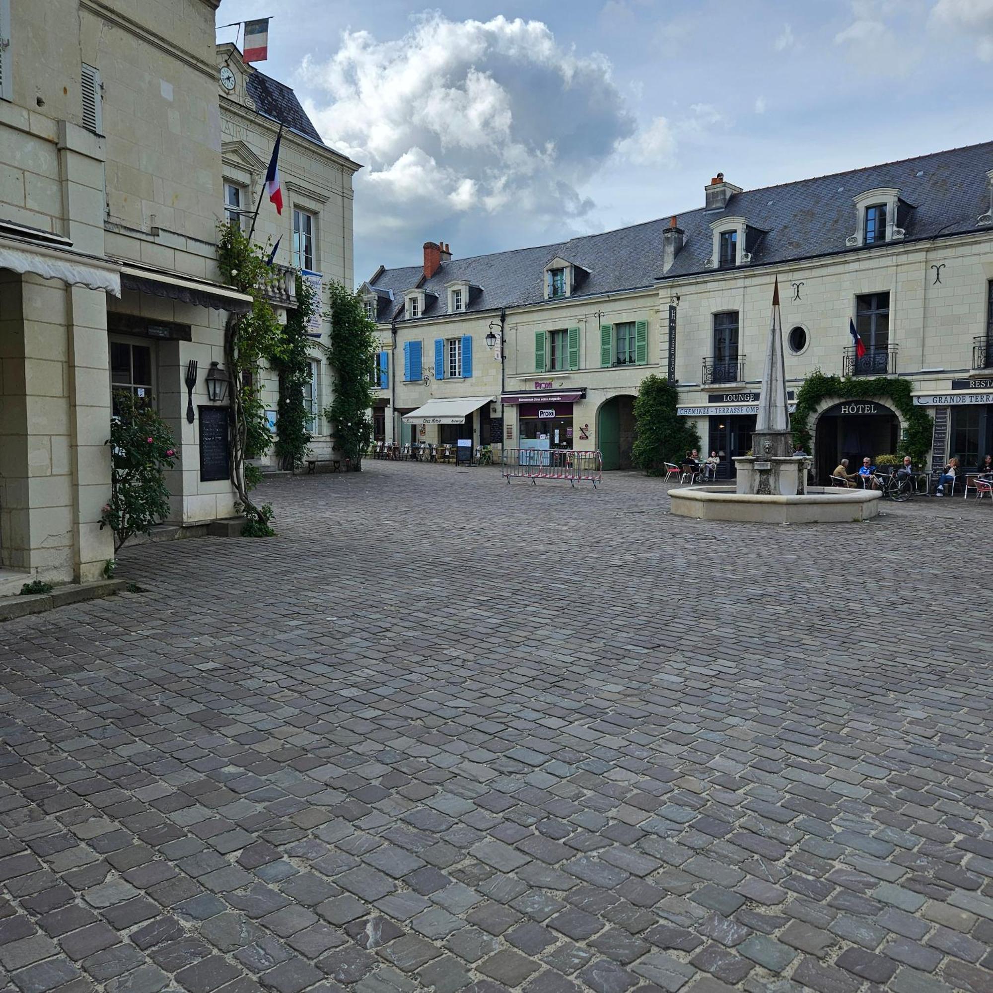 Gite Le Montinho Fontevraud L'Abbaye Buitenkant foto